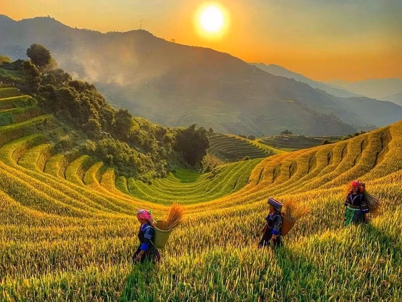Ruộng bậc thang tại Hoàng Su Phì