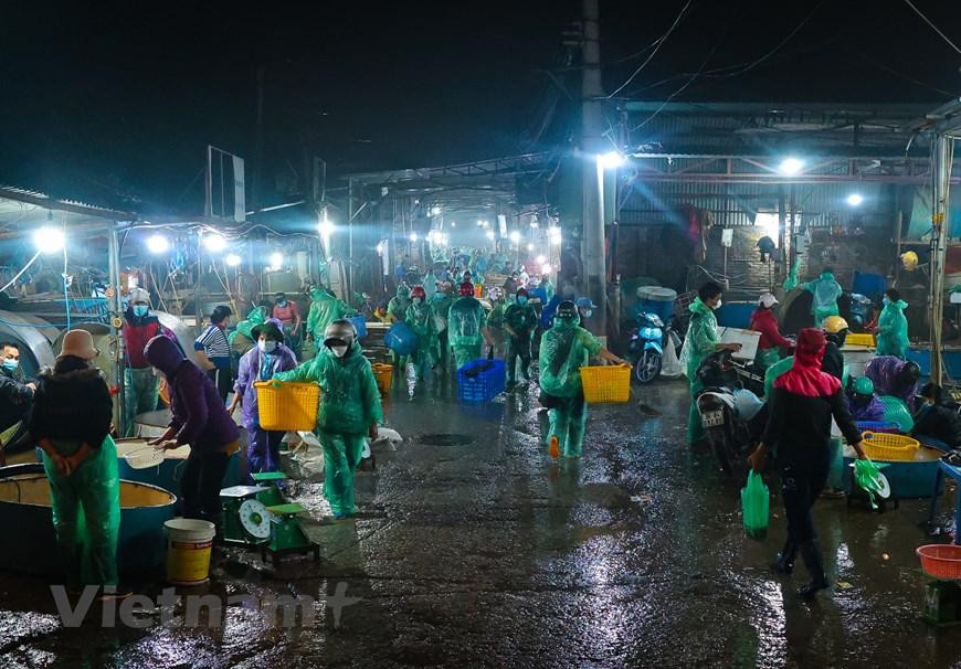 Mọi năm, cứ đến Tết ông Công-ông Táo, chợ cá Yên Sở tại làng Sở Thượng (quận Hoàng Mai, Hà Nội) lại tấp nập bởi các tiểu thương và người dân tìm tới mua cá chép đỏ. (Ảnh: Minh Hiếu/Vietnam+)