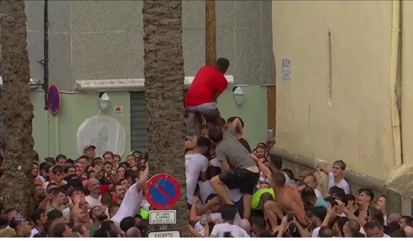 Sáng 28/8, sự kiện đầu tiên trước trận “đại chiến cà chua” là “Palo Jabón”, tâm điểm là một miếng giăm bông Iberia quý giá trên đỉnh một cây sào trơn trượt. Những người tham gia đã phải trèo lên vai nhau, cố gắng chạm tới miếng giăm bông. Khi giăm bông rơi xuống, cuộc chiến cà chua bắt đầu.