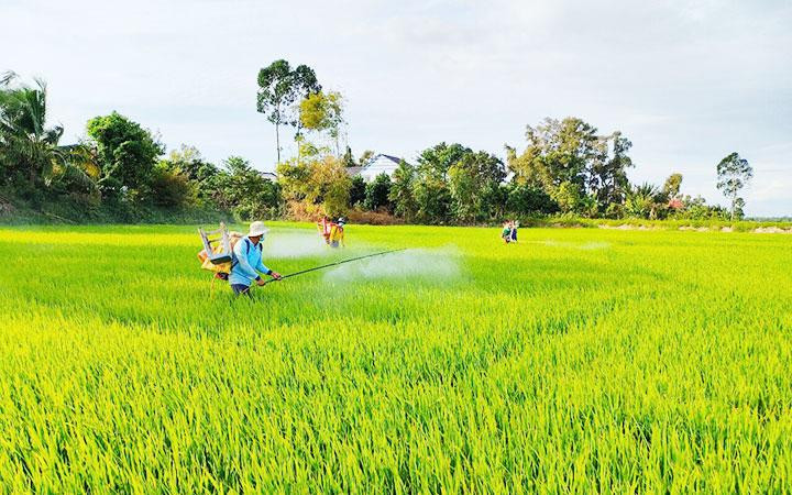 Bộ Nông nghiệp và Phát triển nông thôn đã ra văn bản đề nghị các địa phương triển khai hỗ trợ sản xuất nông nghiệp giúp người dân giảm nghèo