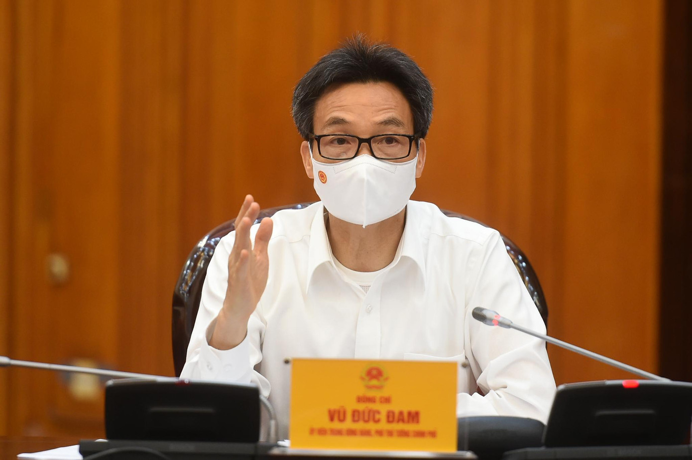 Phó Thủ tướng Vũ Đức Đam phát biểu tại cuộc họp. Ảnh VGP