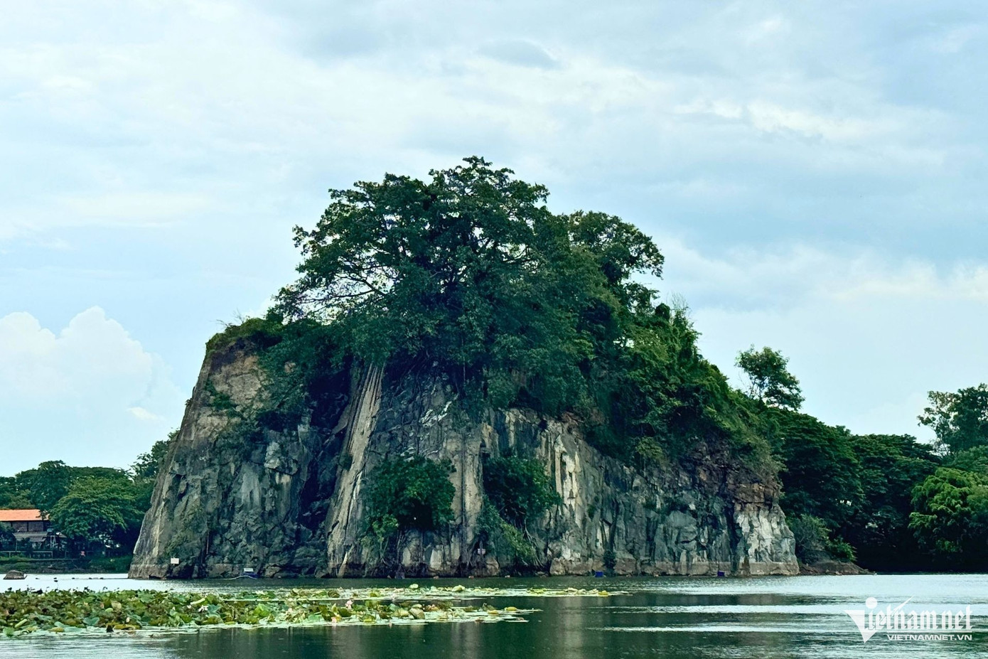 Đàn chim cổ rắn đậu trên ngọn cây ngay giữa lòng hồ ở Khu du lịch Bửu Long