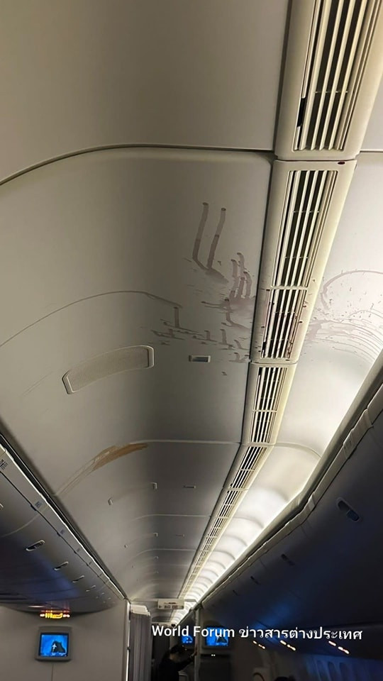 Nhiều nơi trên máy bay và quần áo hành khách đều bị vấy bẩn bởi thức ăn. Ảnh: World Forum.