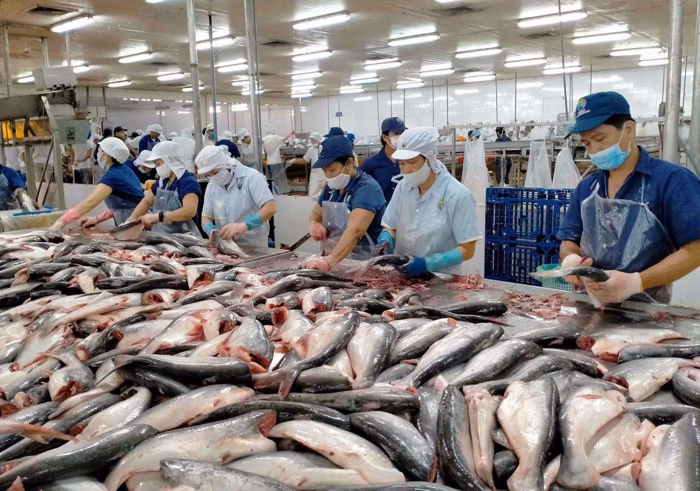 Trong một vài tháng tới, xuất khẩu sang Mỹ có thể tăng mạnh. Ảnh minh họa: ITN.