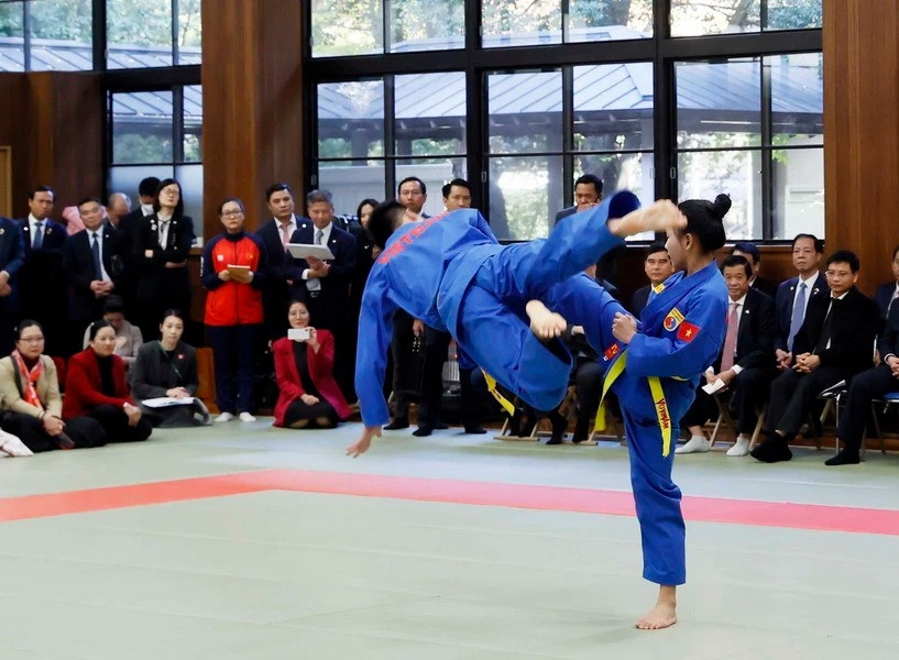 Các võ sỹ Việt Nam trình diễn võ thuật tại buổi giao lưu. (Ảnh: Thống Nhất/TTXVN)