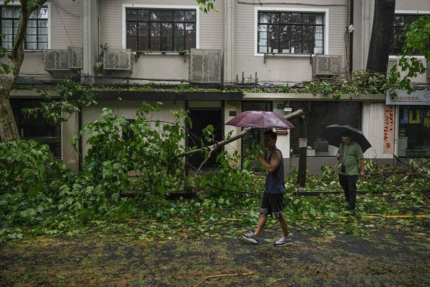 Cành cây và lá cây bị bão Bebinca quật đổ ở Thượng Hải vào ngày 16 tháng 9. Ảnh: AFP.