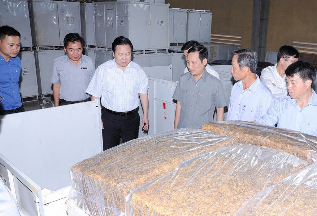 Chủ tịch Nguyễn Hoàng Anh kiểm tra sản xuất tại Nhà máy Cao su Đắk Lắk, Tập đoàn Cao su Việt Nam