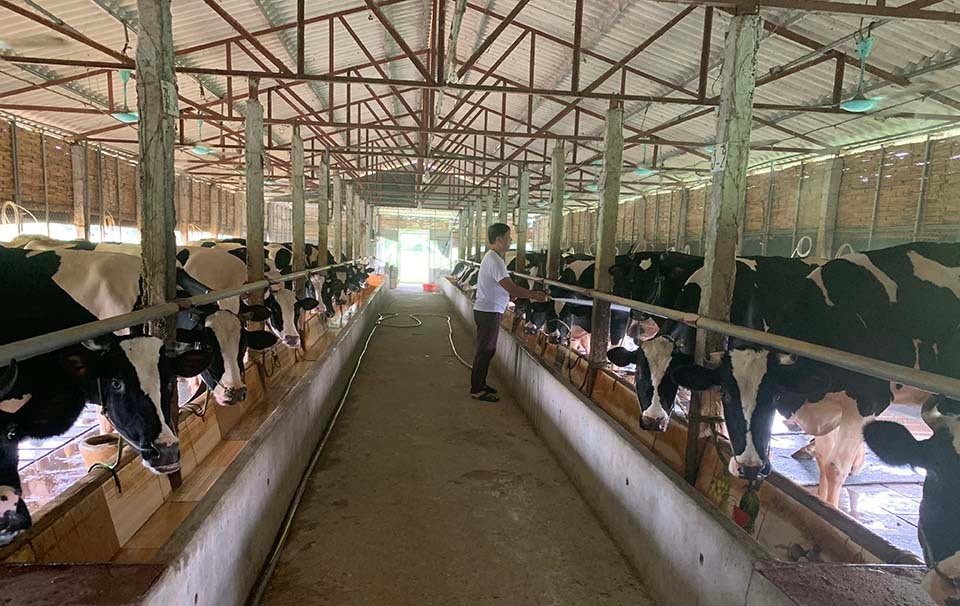 Làng 'vàng trắng' tỷ phú ven sông Hồng, 1 năm chia nhau 400 tỷ ảnh 2