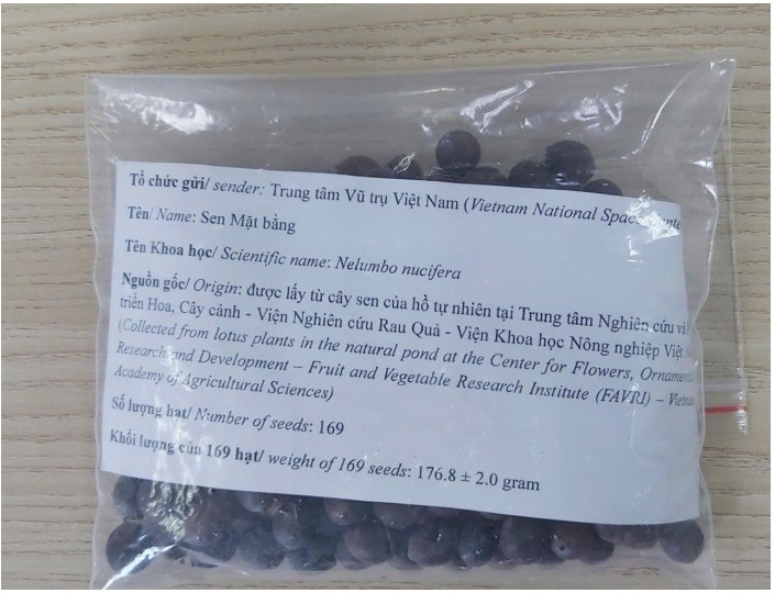 169 hạt giống sen cho VNSC/VAST cung cấp. 169 hạt giống sen cho VNSC/VAST cung cấp.