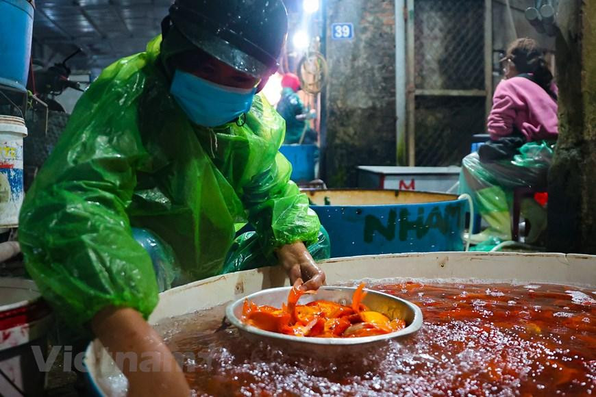 (Minh Hiếu/Vietnam+)