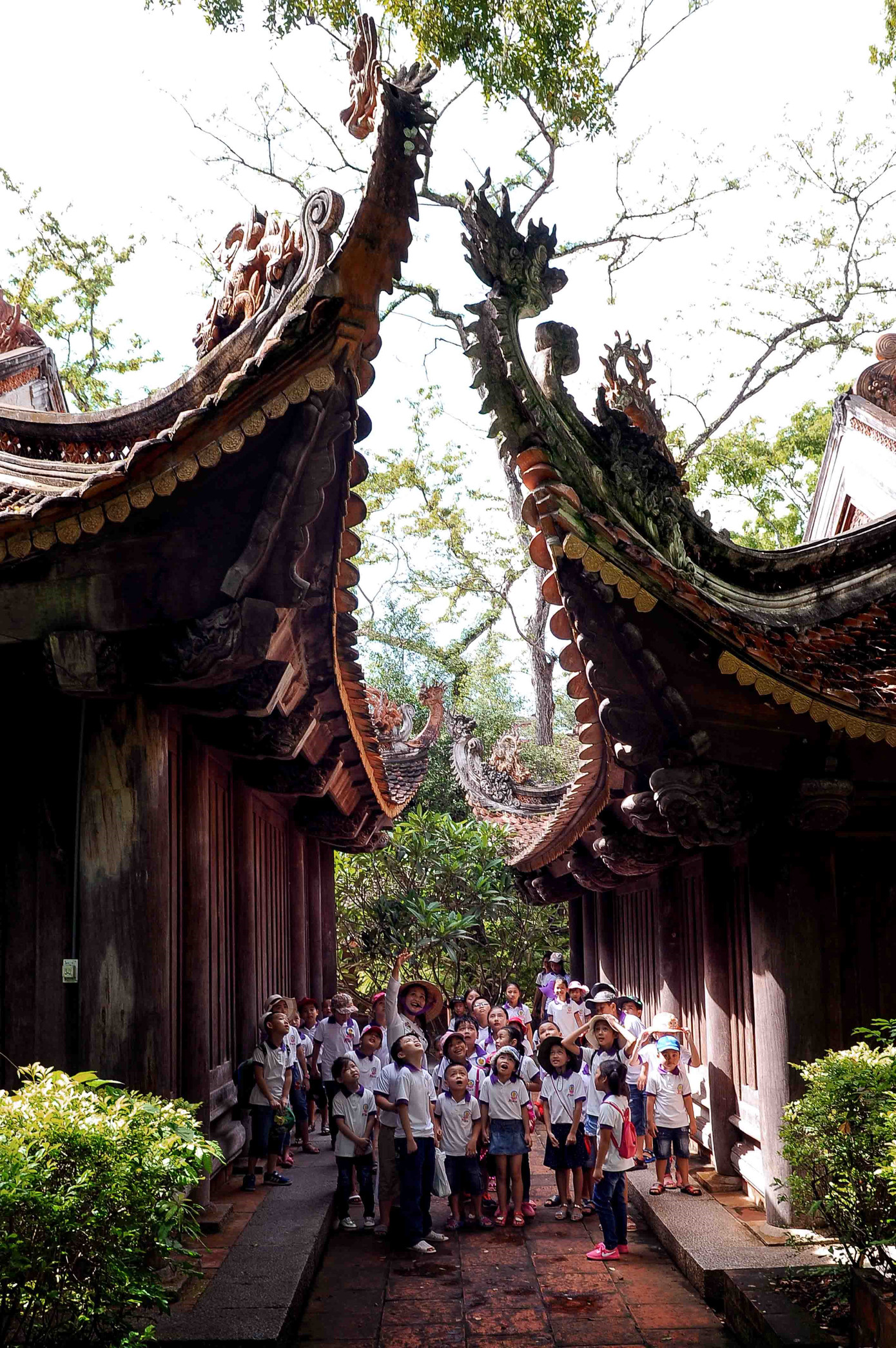 Cố đô Lam Kinh nơi tìm về của hàng triệu triệu du khách trong và ngoài nước đến quanh năm Cố đô Lam Kinh nơi tìm về của hàng triệu triệu du khách trong và ngoài nước đến quanh năm