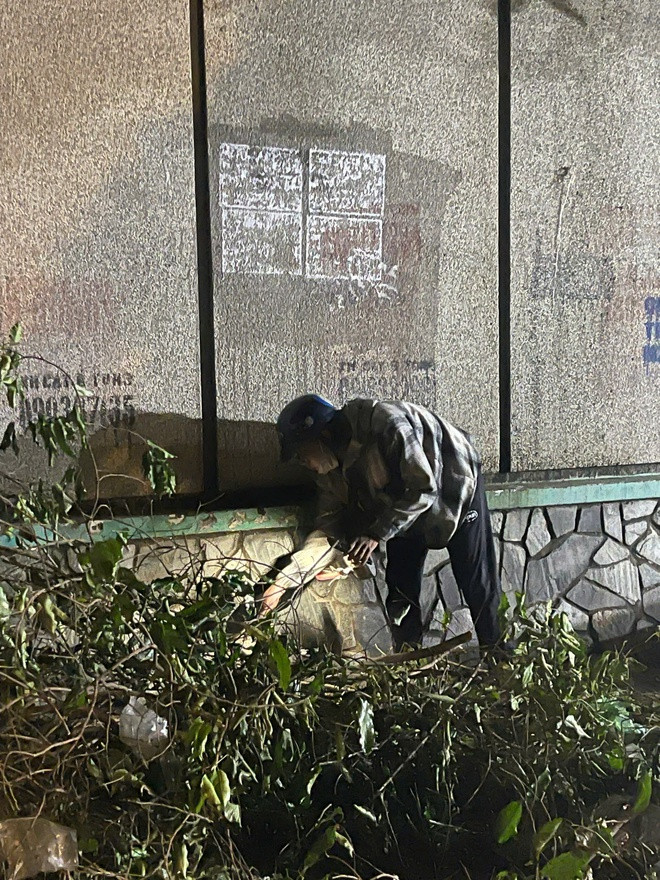 Tìm kiếm đồng xu bất chấp ngày đêm