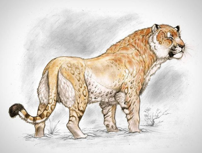 &quot;Chân dung&quot; sư tử quái vật Panthera atrox - Ảnh: EXTINCTIONS