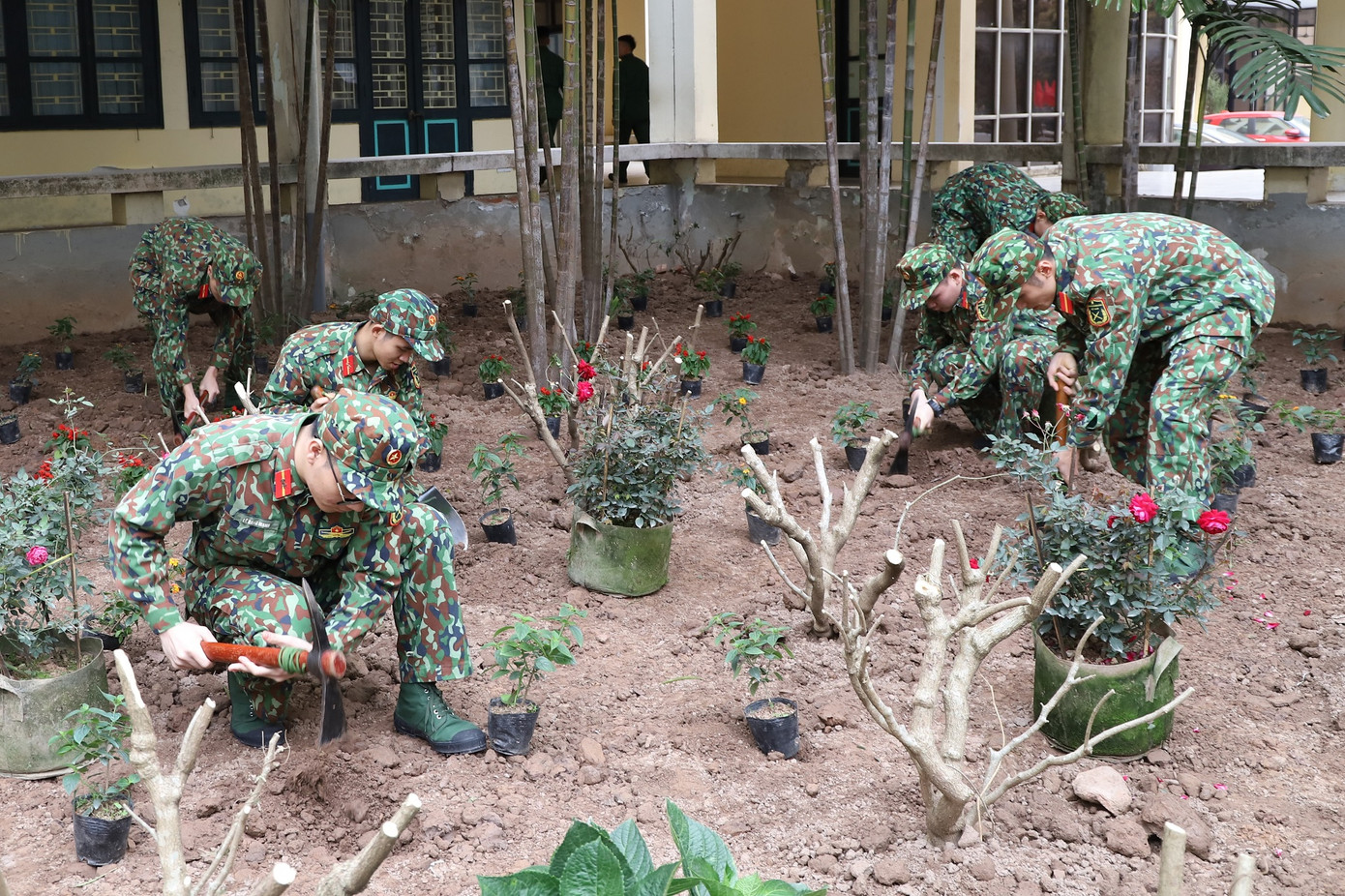 Ngay sau lễ phát động, cán bộ, đoàn viên thanh niên Học viện đã tổ chức thực hiện trồng cây "Đời đời nhớ ơn Bác Hồ" và chỉnh trang cảnh quan đơn vị. Ngay sau lễ phát động, cán bộ, đoàn viên thanh niên Học viện đã tổ chức thực hiện trồng cây "Đời đời nhớ ơn Bác Hồ" và chỉnh trang cảnh quan đơn vị.