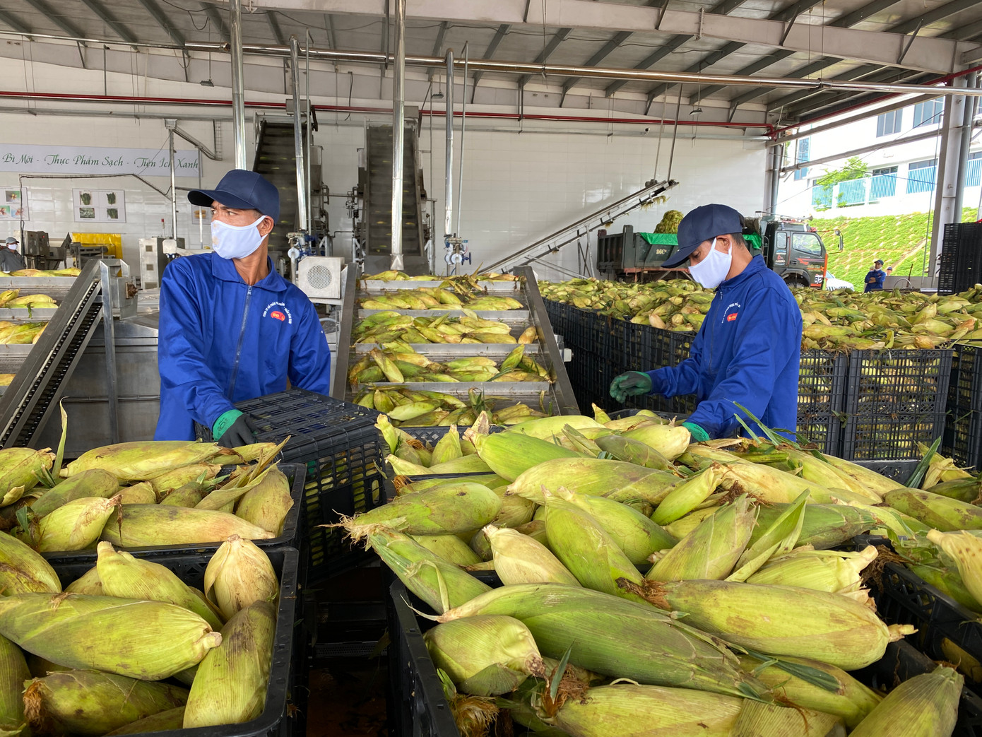 Các dây chuyền sản xuất của Doveco giúp thúc đẩy chuỗi giá trị nông sản tại địa phương