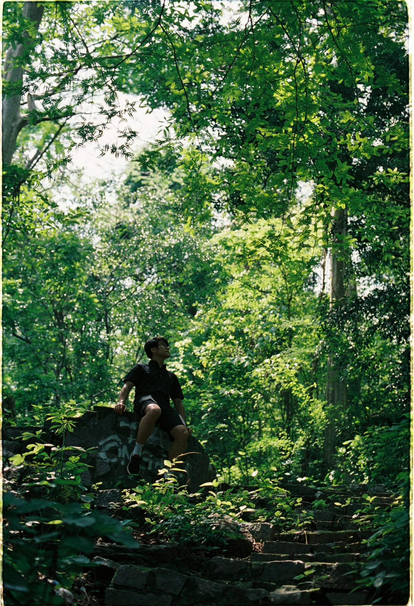 Kê Gà ảnh 7 Cảnh quan thiên nhiên xanh mát làm dịu đi cái nắng ngày hè của Bình Thuận. Ảnh: Nguyễn Văn Sơn.