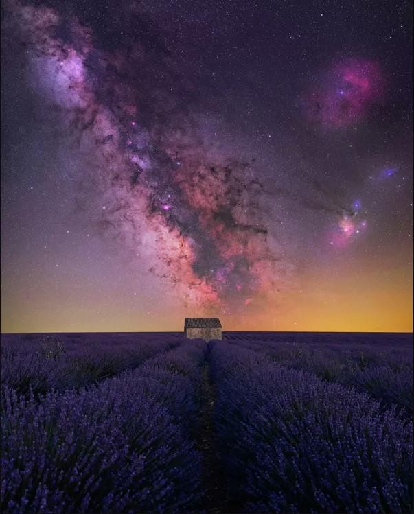 Bức ảnh House of Lavender của nhiếp ảnh gia Pháp Benjamin Barakat