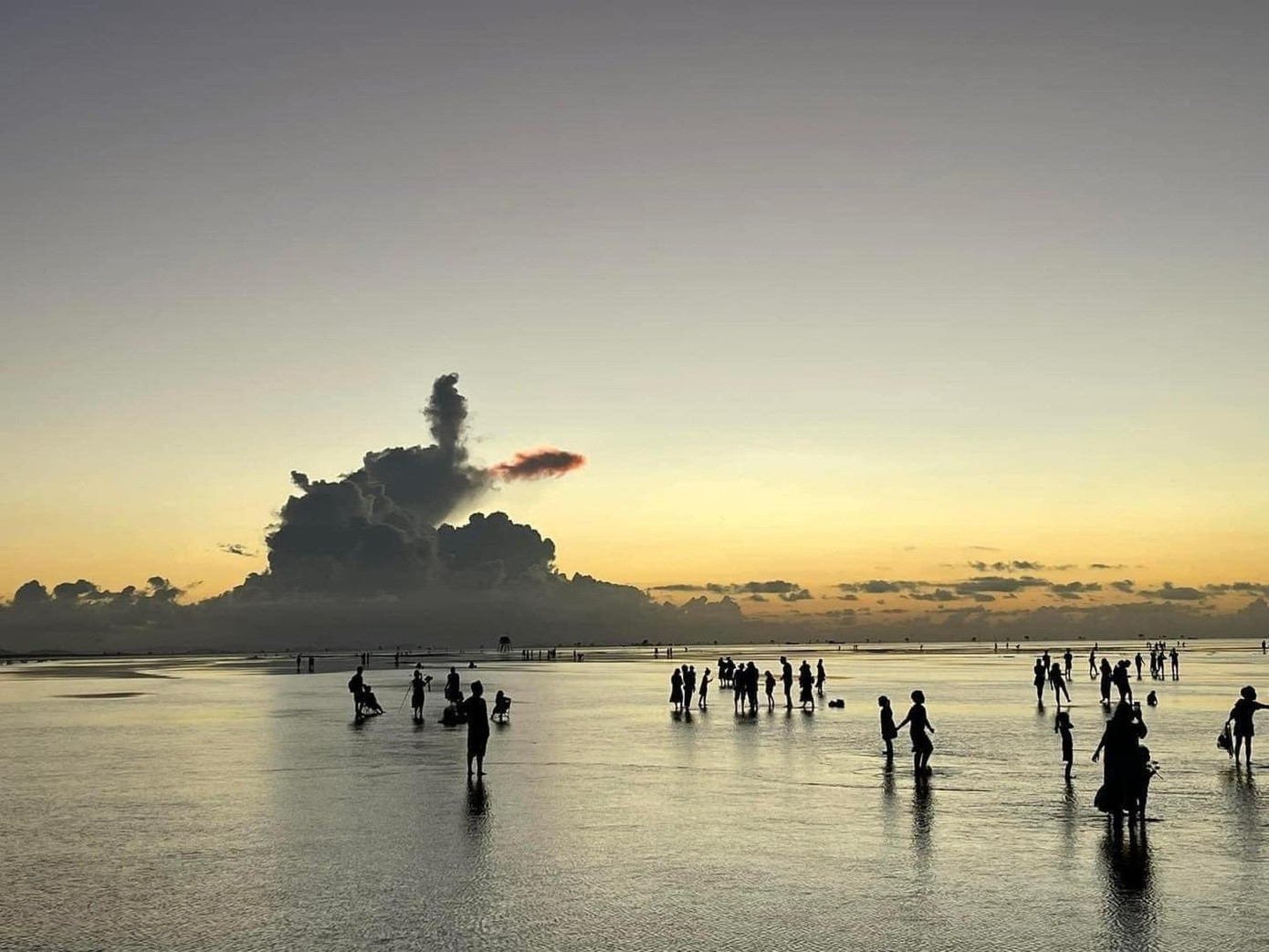 Hình ảnh cá chép hóa rồng tại biển vô vực Thái Bình. Ảnh: Vũ Dương. Hình ảnh cá chép hóa rồng tại biển vô vực Thái Bình. Ảnh: Vũ Dương.