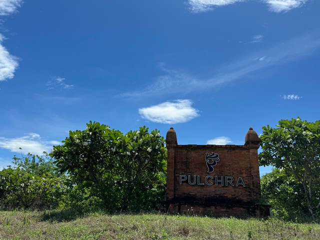 Cỏ mọc um tùm bên ngoài dự án. Cỏ mọc um tùm bên ngoài dự án.