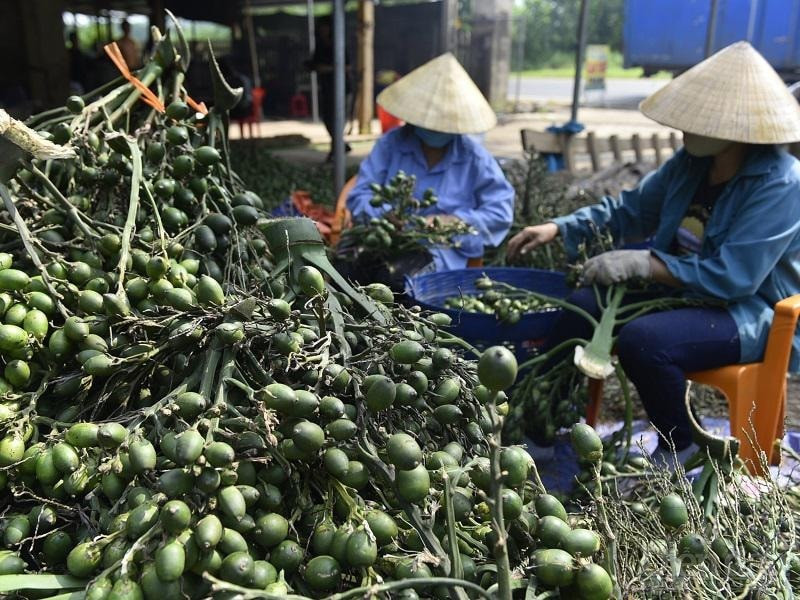 Cau nhập khẩu tăng vọt. Ảnh minh họa: IT.