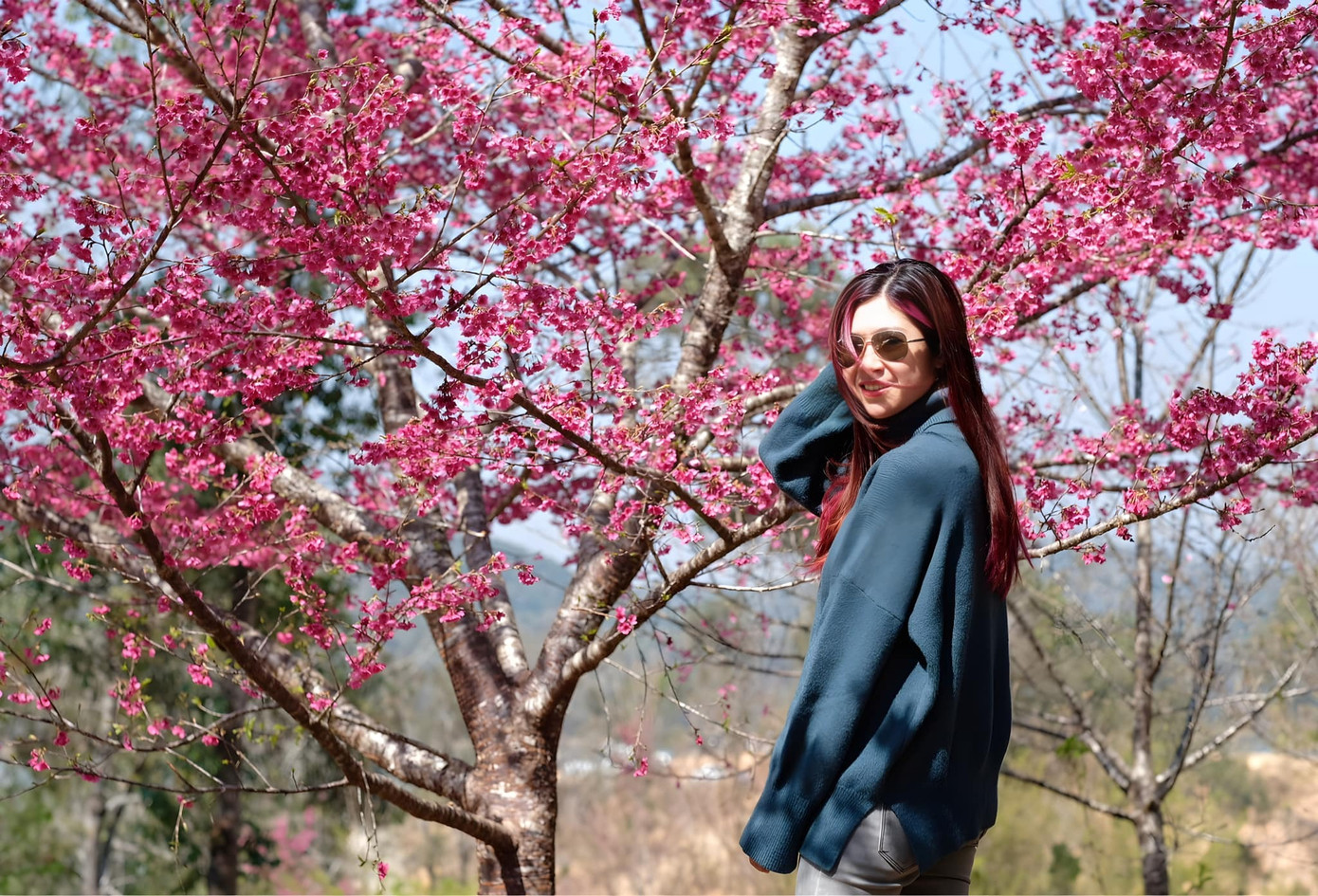 Nhiều điểm đến trong nước với cảnh sắc tuyệt đẹp đang được du khách lựa chọn cho dịp tết. Ảnh: T.H