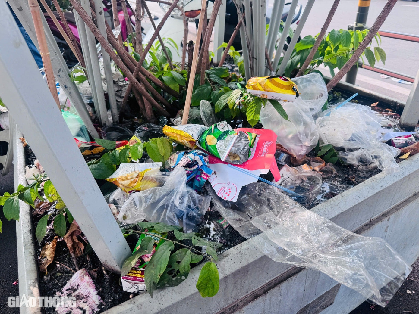 Tuy nhiên, ở khu vực xung quanh, rác thải bị bỏ lại ngập ngụa trên các chậu cây cảnh. Theo ghi nhận của PV Báo Giao thông, hàng chục chậu cây cảnh được đặt bao quanh khu vực trước chợ Bến Thành đều đầy ắp rác thải.