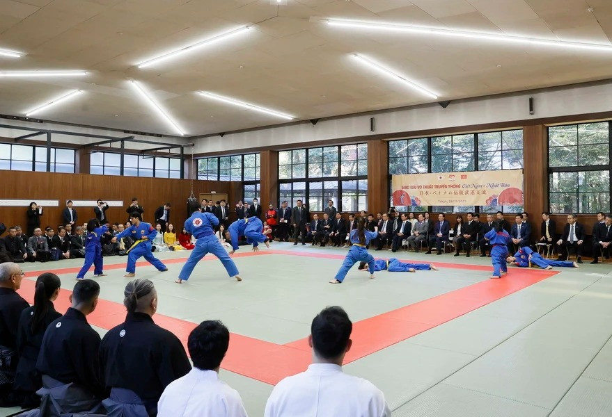 Màn biểu diễn võ Vovinam tại buổi giao lưu võ thuật Việt Nam-Nhật Bản. (Ảnh: Thống Nhất/TTXVN)