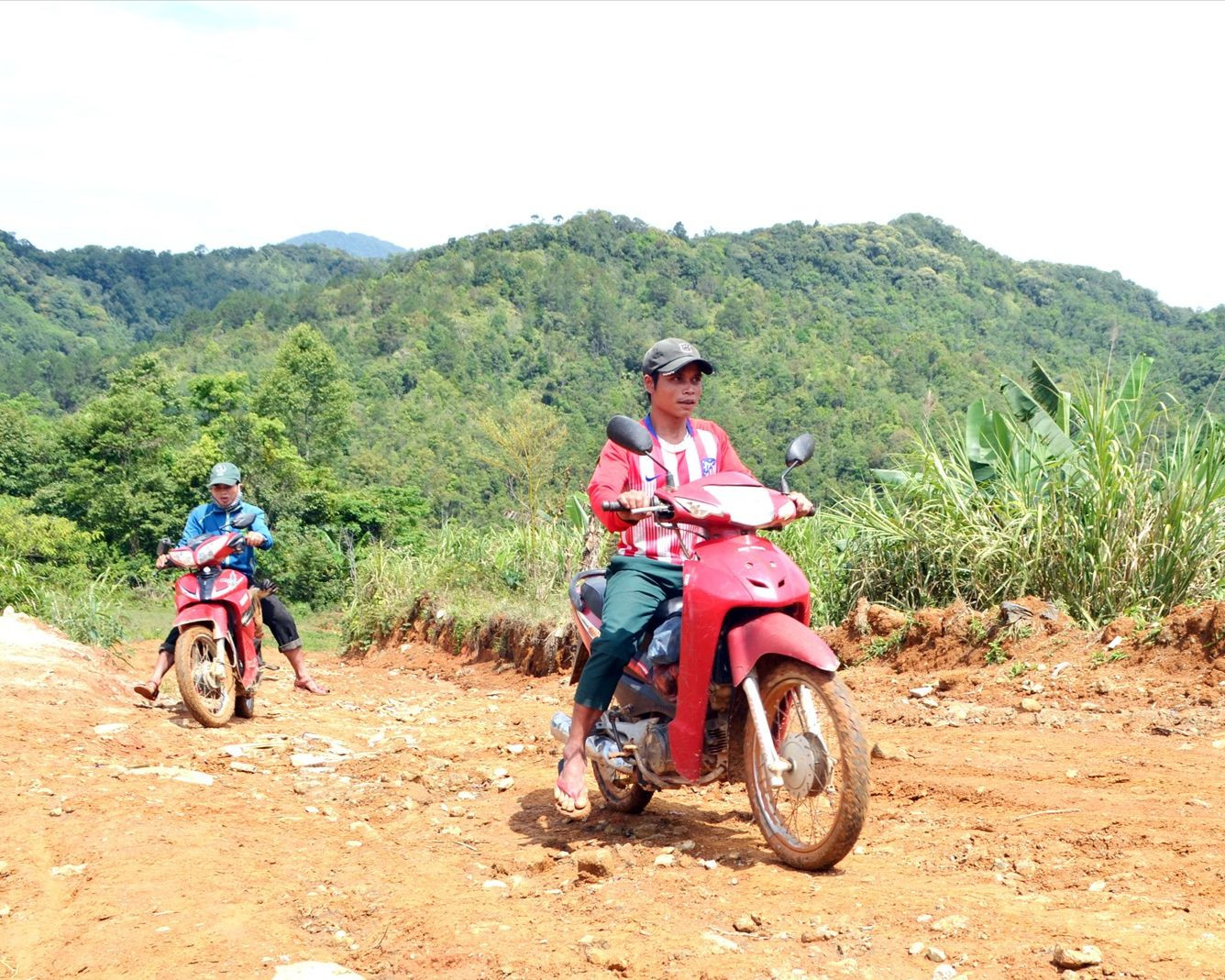 Ảnh minh họa Ảnh minh họa