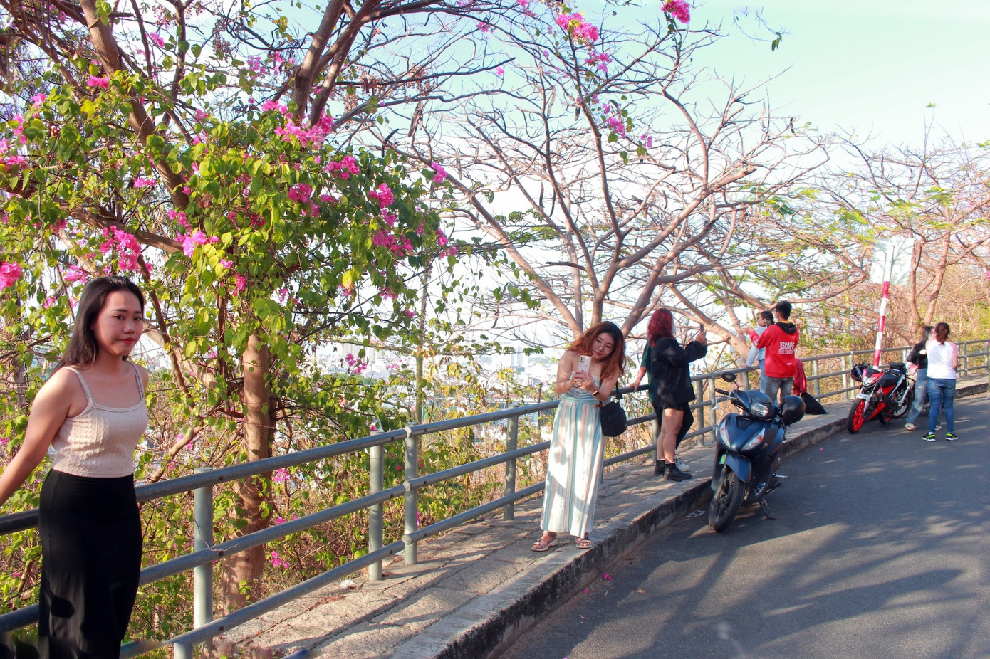 du lịch vũng tàu, check-in vũng tàu, địa điểm du lịch, du khách xếp hàng, du lịch lễ 30/4, tắm biển vũng tàu, biển vũng tàu ảnh 1 Chiều ngày 1/5, các điểm check-in nổi tiếng ở TP Vũng Tàu như ngọn Hải Đăng, hẻm Trần Phú, hàng quán khu vực Bãi Dâu... thu hút lượng lớn du khách đến tham quan và chụp ảnh.