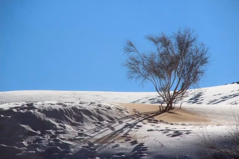 Sa mạc Sahara đã chứng kiến nhiều thay đổi mạnh mẽ trong hàng nghìn năm, nhưng tuyết rơi vẫn cực kỳ hiếm. Ảnh: Karim Bouchetata Sa mạc Sahara đã chứng kiến nhiều thay đổi mạnh mẽ trong hàng nghìn năm, nhưng tuyết rơi vẫn cực kỳ hiếm. Ảnh: Karim Bouchetata