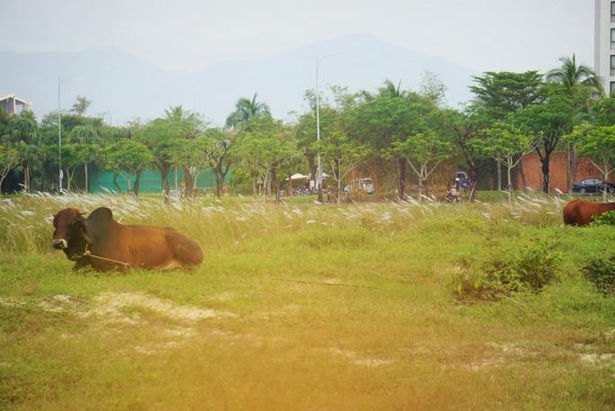 2 khu đất đang thuộc dự án khu đô thị mới Hòa Hải, quận Ngũ Hành Sơn