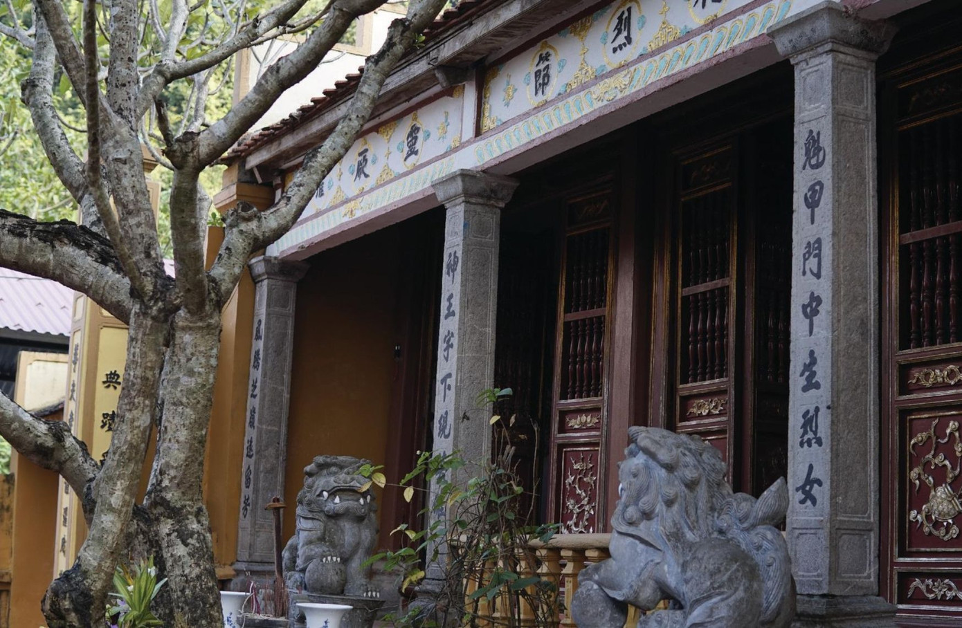 Đền Vực Vông được mệnh danh là ngôi đền thiêng nhất Ninh Bình. Theo truyền thuyết và thần phả đền Vực Vông, Nguyễn Thị Niên là con gái của Nguyễn Quyện, tướng quân thời nhà Mạc. Bà là người văn võ song toàn, có nhan sắc, theo cha về trấn thủ đất Hoa Lư.