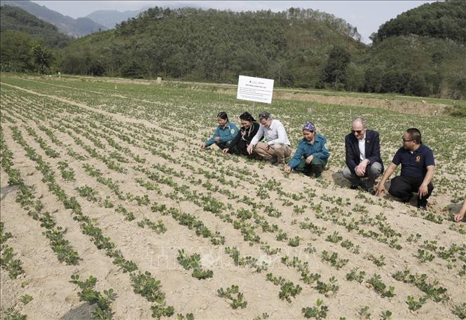 Ảnh minh họa: Trần Việt/TTXVN