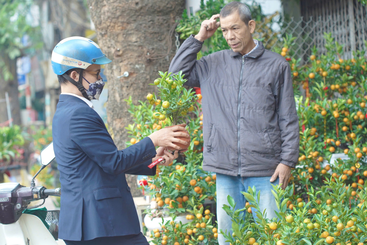 Các tiểu thương chia sẻ rằng giá hoa và cây cảnh năm nay không biến động nhiều, giúp khách hàng dễ dàng chọn lựa.