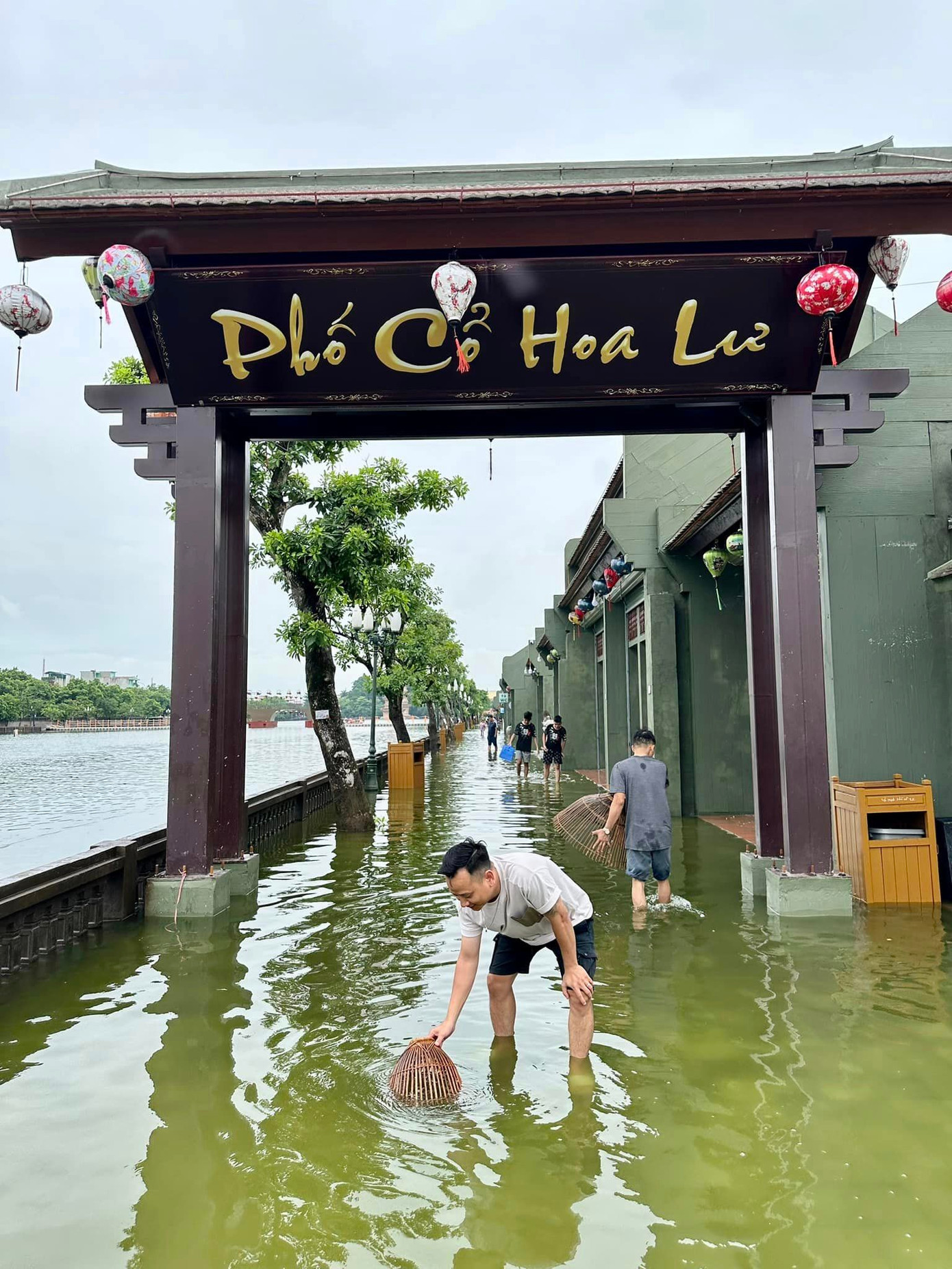 Nhiều người thích thú đến phố cổ để bắt cá. Ảnh: Bobby Tuấn Anh.