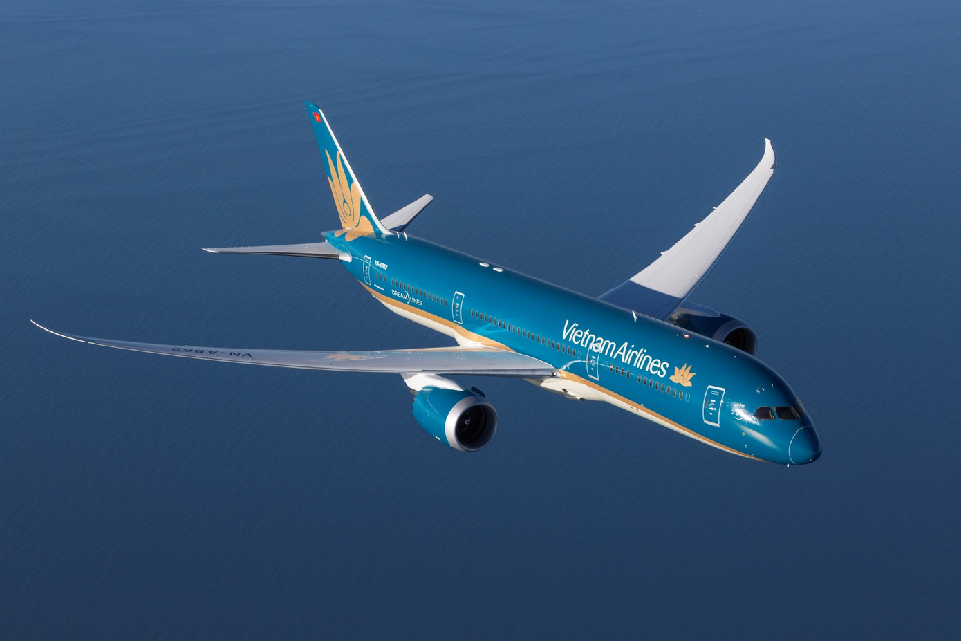 Vietnam Airlines đã hỗ trợ cấp cứu nhiều hành khách gặp vấn đề về sức khỏe.