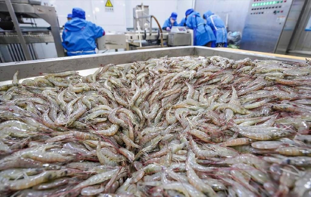 Ảnh minh họa: VASEP.