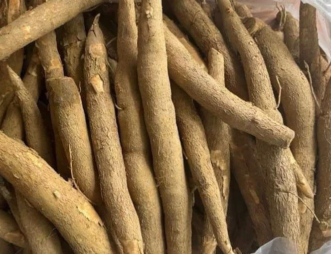 Xuất khẩu sắn giảm về cả số lượng và giá trị. Ảnh minh họa: IT.