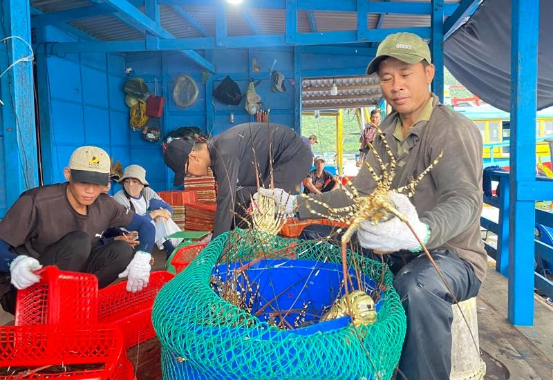 Tôm Việt Nam ‘lên ngôi’ tại Trung Quốc. Ảnh minh họa: IT. Tôm Việt Nam ‘lên ngôi’ tại Trung Quốc. Ảnh minh họa: IT.