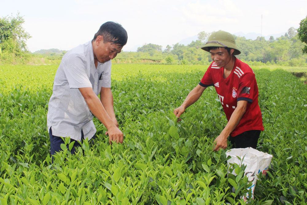 Ảnh minh họa: Báo Thái Nguyên Ảnh minh họa: Báo Thái Nguyên