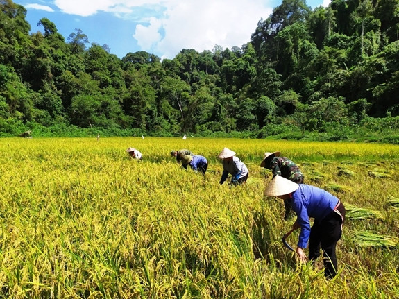 Ảnh minh họa: Internet Ảnh minh họa: Internet