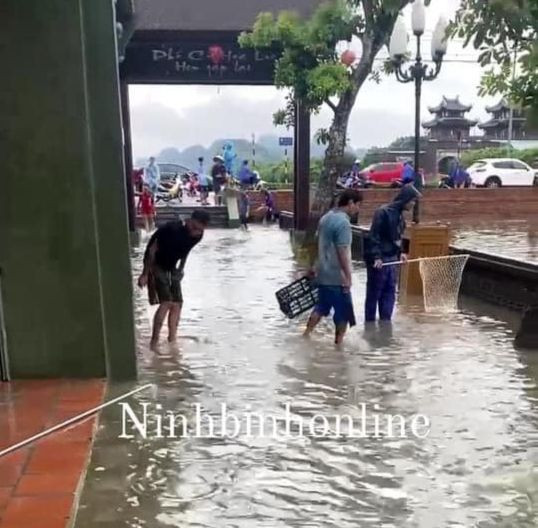 Ảnh: Ninh Bình online.