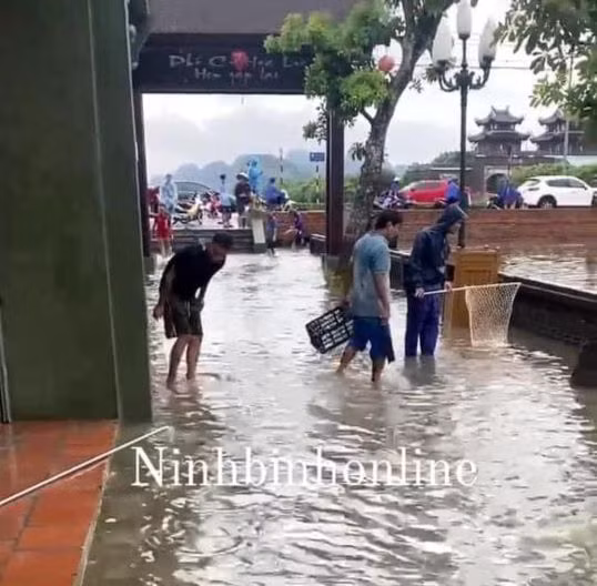 Ảnh: Ninh Bình online.