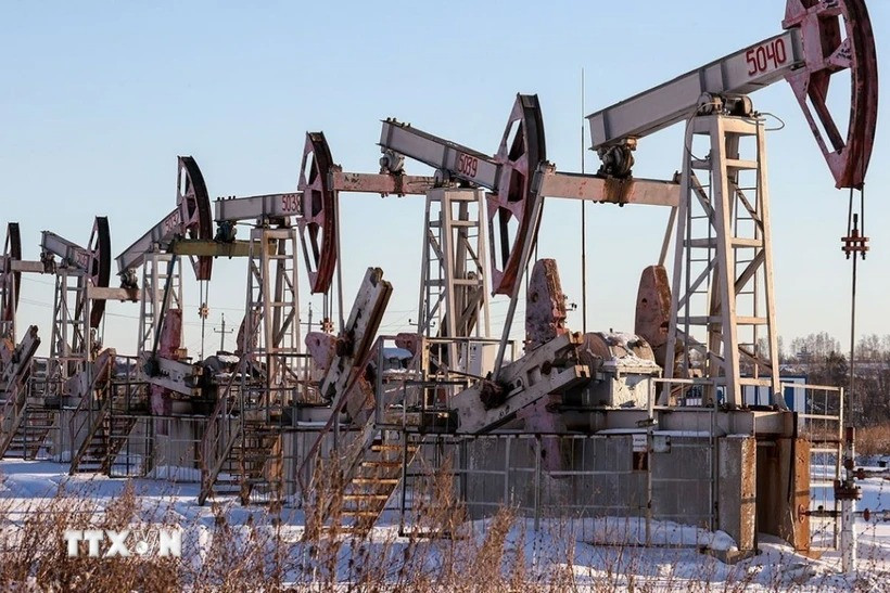 Các máy bơm dầu tại một cơ sở lọc dầu của Nga. Ảnh: TASS