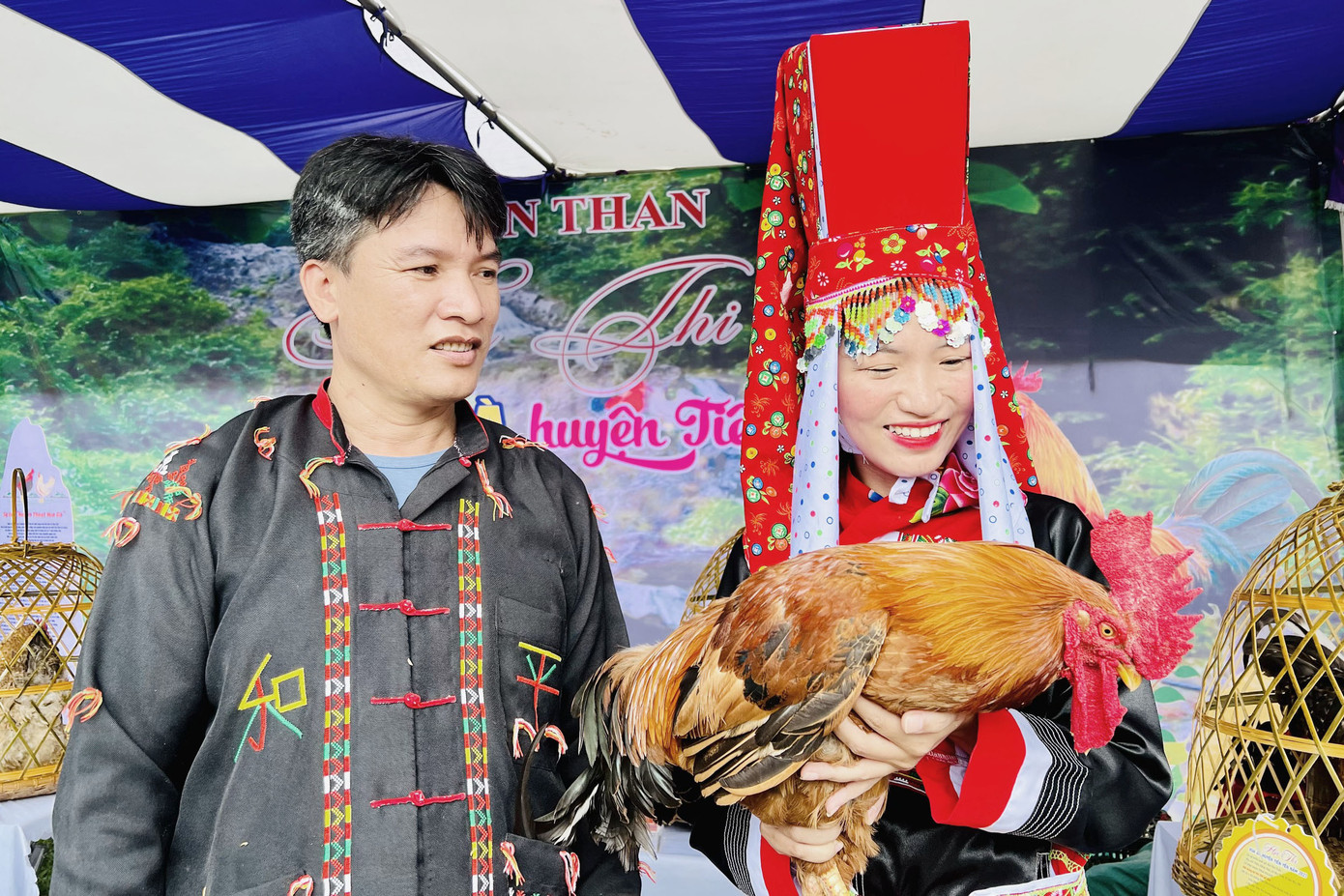 Năm nay có 20 cơ sở tham gia thi vua gà và hoa hậu gà ở huyện Tiên Yên Năm nay có 20 cơ sở tham gia thi vua gà và hoa hậu gà ở huyện Tiên Yên