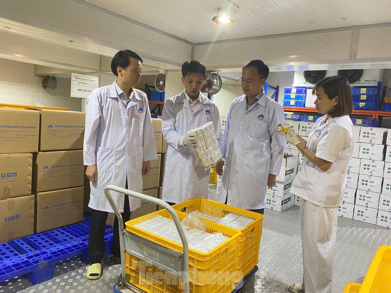 Lãnh đạo các đơn vị có trách nhiệm giám sát việc xuất khẩu vắc xin.