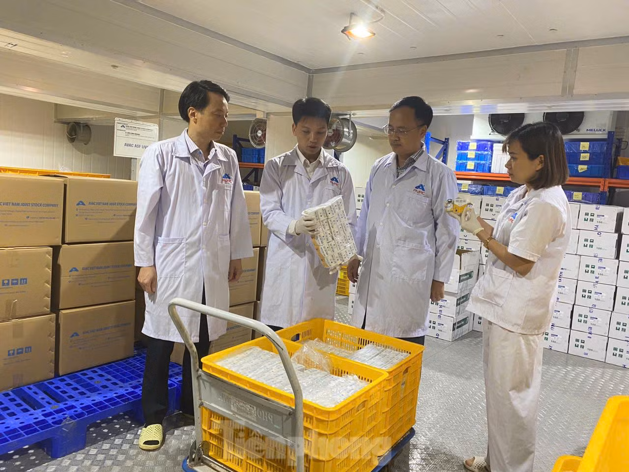 Lãnh đạo các đơn vị có trách nhiệm giám sát việc xuất khẩu vắc xin.