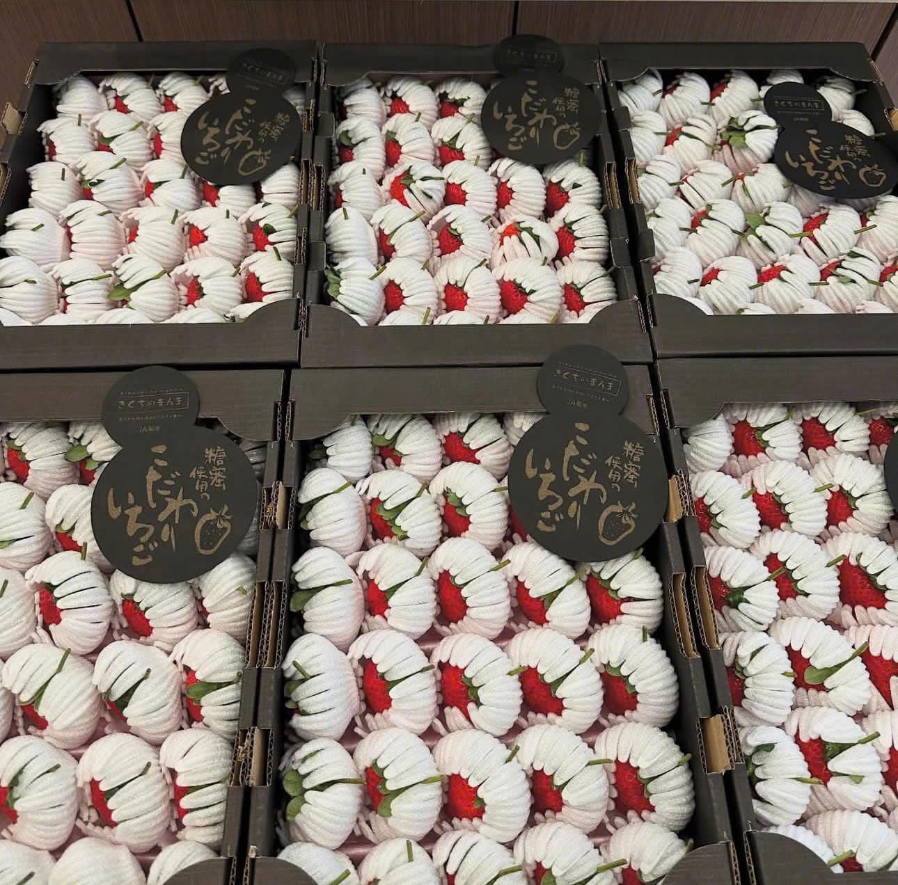 Những hộp dâu "công chúa’ Nhật Bản nhập khẩu thường được bọc riêng từng quả mang đến cảm giác cao cấp, sang trọng. Ảnh: NVCC. Những hộp dâu "công chúa’ Nhật Bản nhập khẩu thường được bọc riêng từng quả mang đến cảm giác cao cấp, sang trọng. Ảnh: NVCC.