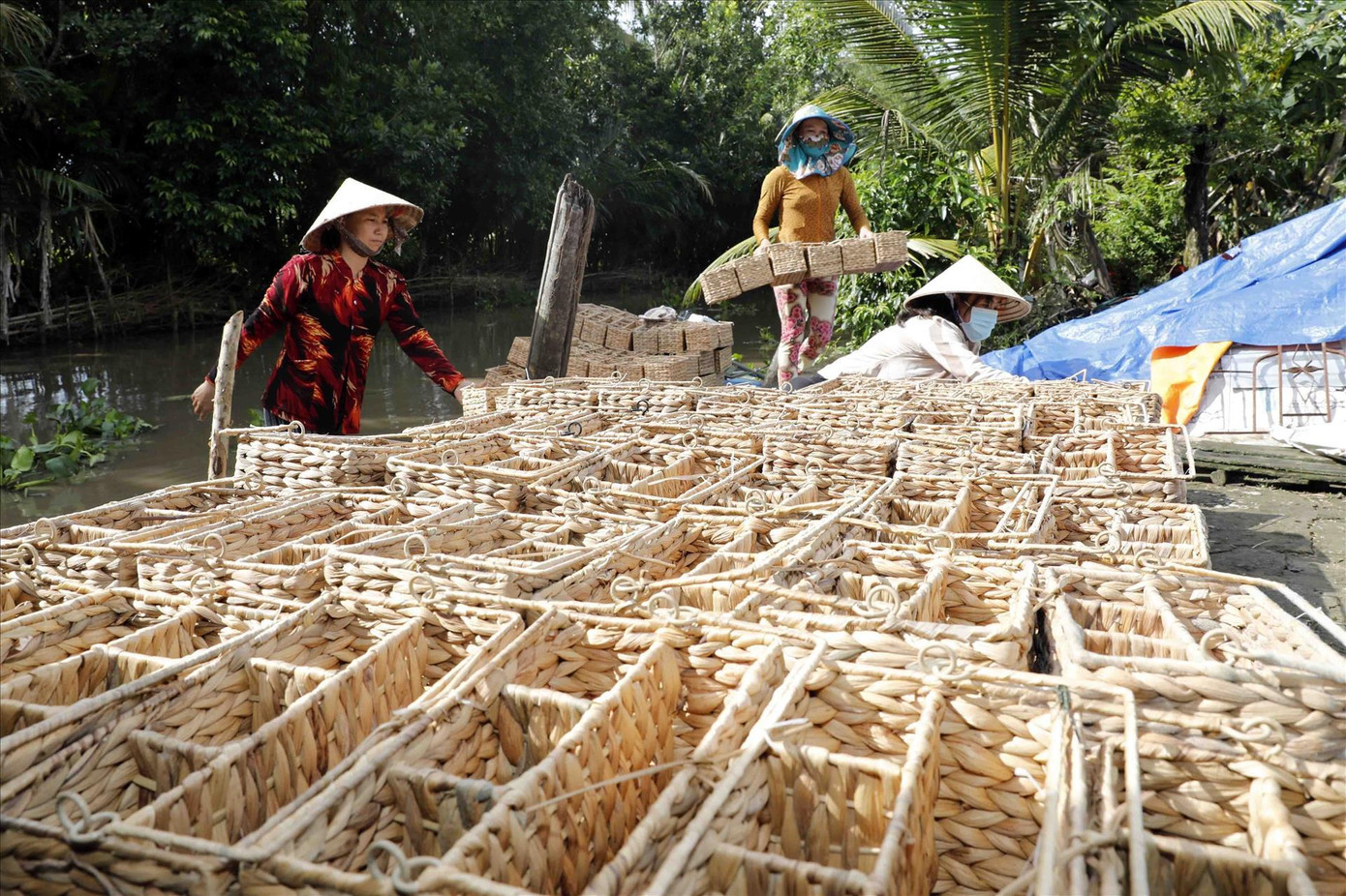 Tổ hợp tác Chí Công ở xã Vĩnh Viễn A, huyện Long Mỹ, chuyên sản xuất đồ dùng từ cây lục bình. Ảnh: Trần Việt - TTXVN Tổ hợp tác Chí Công ở xã Vĩnh Viễn A, huyện Long Mỹ, chuyên sản xuất đồ dùng từ cây lục bình. Ảnh: Trần Việt - TTXVN