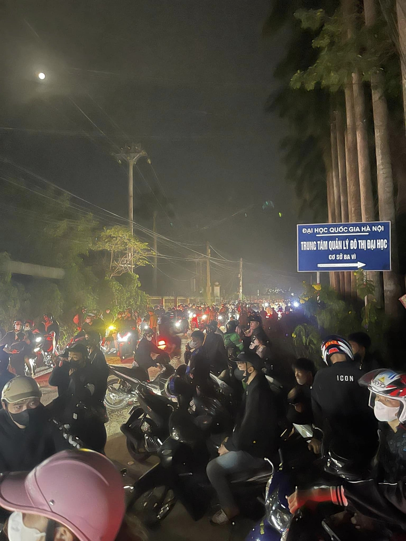 Du khách đổ về Ba Vì săn biển mây, ngắm hoa dã quỳ bung nở. Ảnh: Minh Loan.